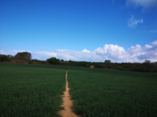 From Couch to Trail Runner by Sarah